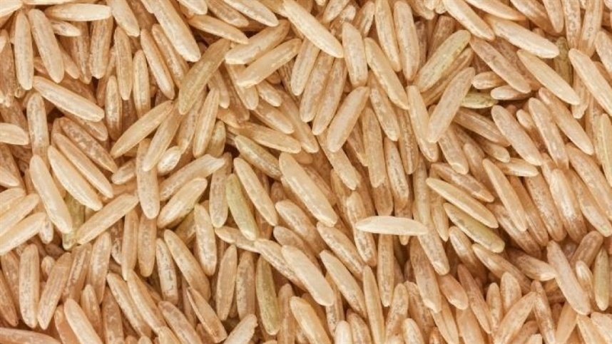 Emergência do arroz: como avaliar a uniformidade do estande