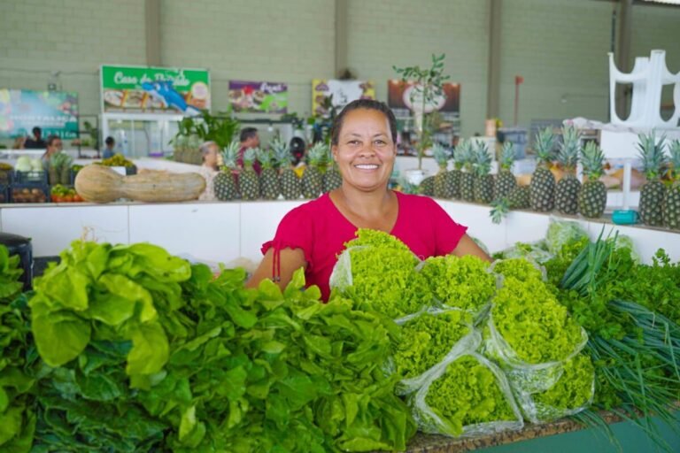 Agricultores podem vender até R$ 15 mil em alimentos a programa federal em Lucas