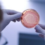 Bioinsumos disputam espaço no orçamento das fazendas