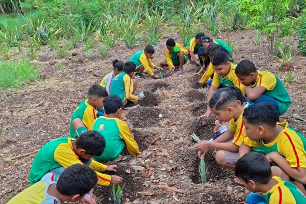 Horta escolar transforma plantio e colheita em aprendizado na zona rural de VG