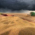 Brasil projeta 367 milhões de toneladas de grãos, mas El Niño ameaça R$ 33 bilhões da soja
