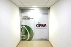 CIPEM aponta prejuízos ao setor madeireiro após paralisação de sistemas federais