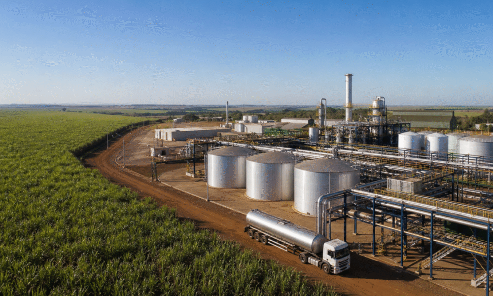 CNA destaca papel do agro na transição energética durante summit em São Paulo