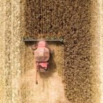 Mato Grosso exporta US$ 2,1 bilhões em setembro para 115 países; milho lidera embarques