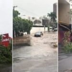 Temporal alaga casas, arrasta carros e derruba árvores em Cuiabá e Várzea Grande; vídeos