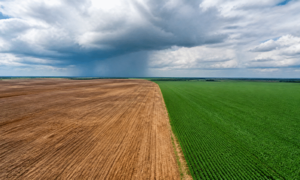 El Niño muito forte eleva risco para plantio no Centro-Oeste e no Matopiba