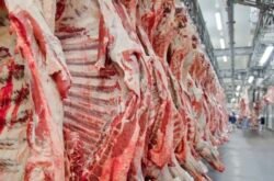 Esgotamento da cota faz tarifa da carne brasileira subir para 67% na China