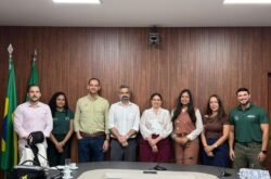Fundo aprova R$ 1,97 milhão para áreas experimentais com espécies florestais nativas em Sinop, Lucas do Rio Verde e Alta Floresta