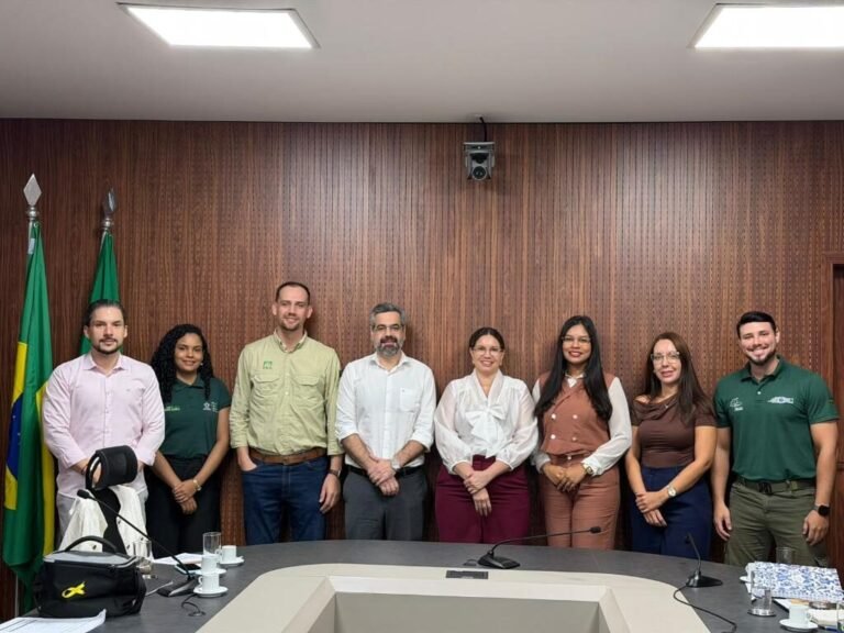 Fundo aprova R$ 1,97 milhão para áreas experimentais com espécies florestais nativas em Sinop, Lucas do Rio Verde e Alta Floresta