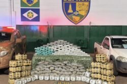 Gefron apreende 250 kg de drogas e causa prejuízo de R$ 690 mil ao crime em Mato Grosso