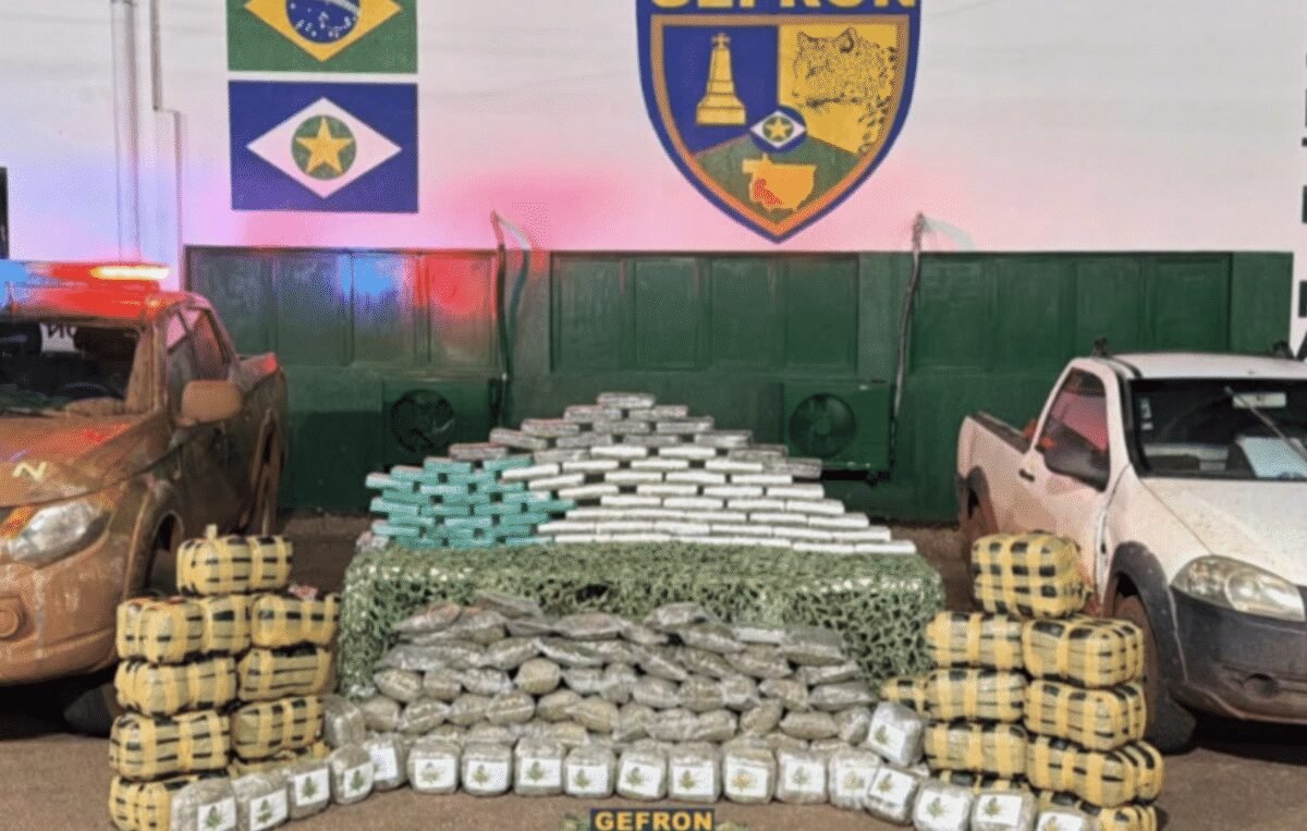 Gefron apreende 250 kg de drogas e causa prejuízo de R$ 690 mil ao crime em Mato Grosso