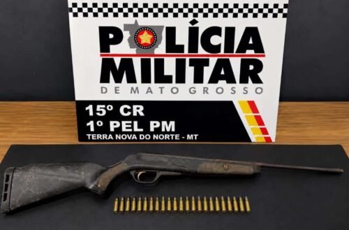 Homem é preso por agredir esposa na frente das filhas e manter espingarda sem registro no Nortão