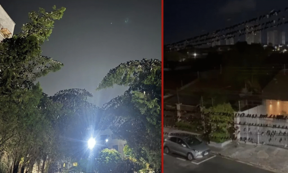 VÍDEO: nuvem com milhares de andorinhas sobrevoam condomínio em Cuiabá em busca de alimento