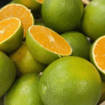 Produção de laranja da Flórida deve cair 23% e EUA aumenta dependência do Brasil
