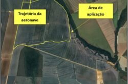 Investigação indica possível perda de controle em queda de avião em Mato Grosso