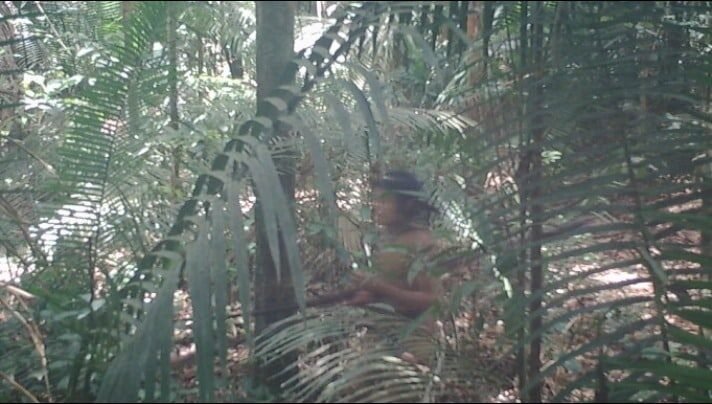 Justiça manda retirar gado e invasores de terra indígena em Mato Grosso onde vive povo isolado