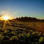 CNA apresenta documento com 8 propostas e prioridades para o agro na COP 31