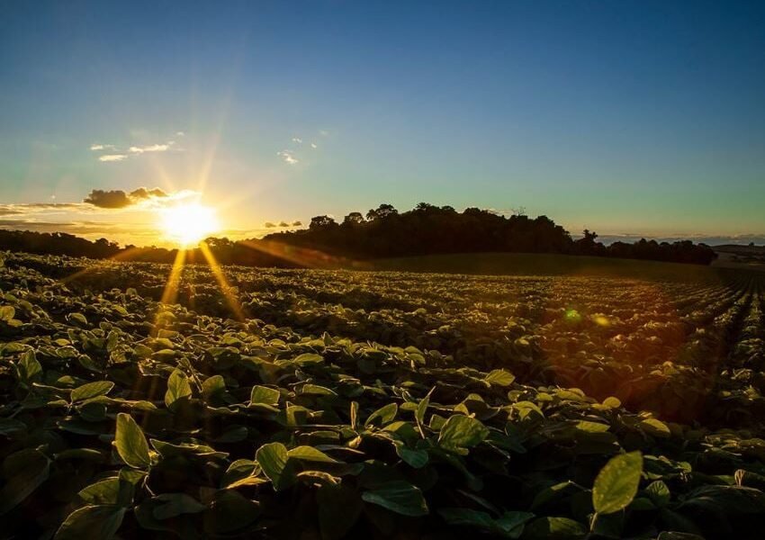 CNA apresenta documento com 8 propostas e prioridades para o agro na COP 31