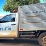 Mulher morre após ter perna dilacerada ao descer de ônibus em Mato Grosso; prefeitura notifica empresa