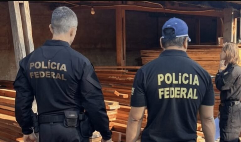 PF em Mato Grosso investiga comércio ilegal de madeira nativa e cumpre mandados em Goiás e MG