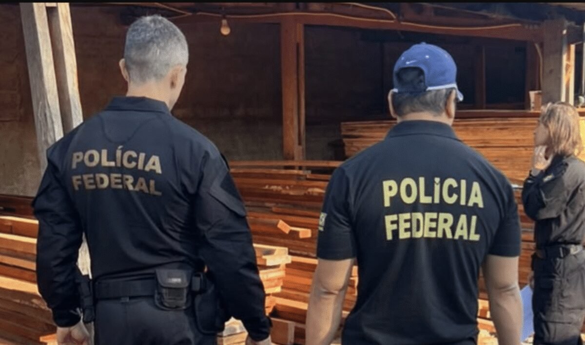PF em Mato Grosso investiga comércio ilegal de madeira nativa e cumpre mandados em Goiás e MG