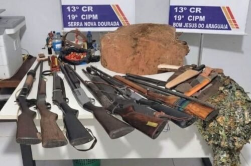 PM apreende oito armas após denúncia de agressão e ameaça de morte em Mato Grosso