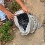 Preso em Guarantã suspeito de tentar furtar fiações de duas escolas estaduais