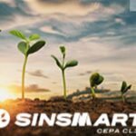 Sinsmart: biotecnologia de Taiwan eleva produtividade da soja