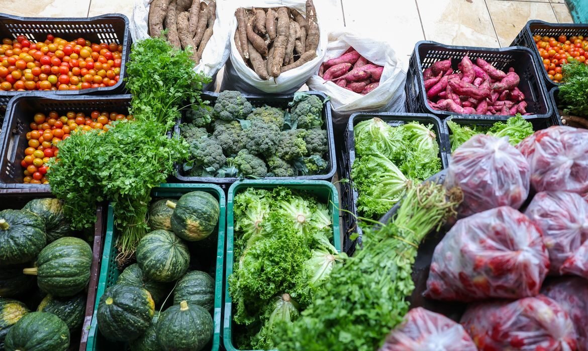 Agricultura familiar e cozinhas solidárias combatem a fome no Brasil