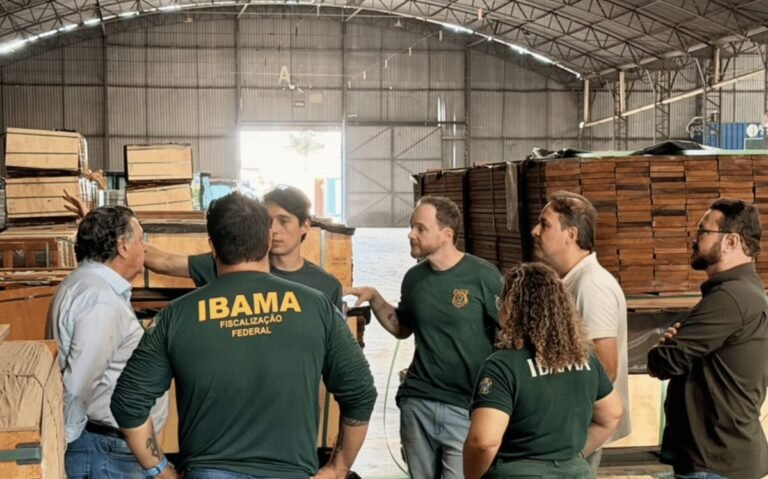 Setor madeireiro articula uso do Porto Seco de Cuiabá para exportações