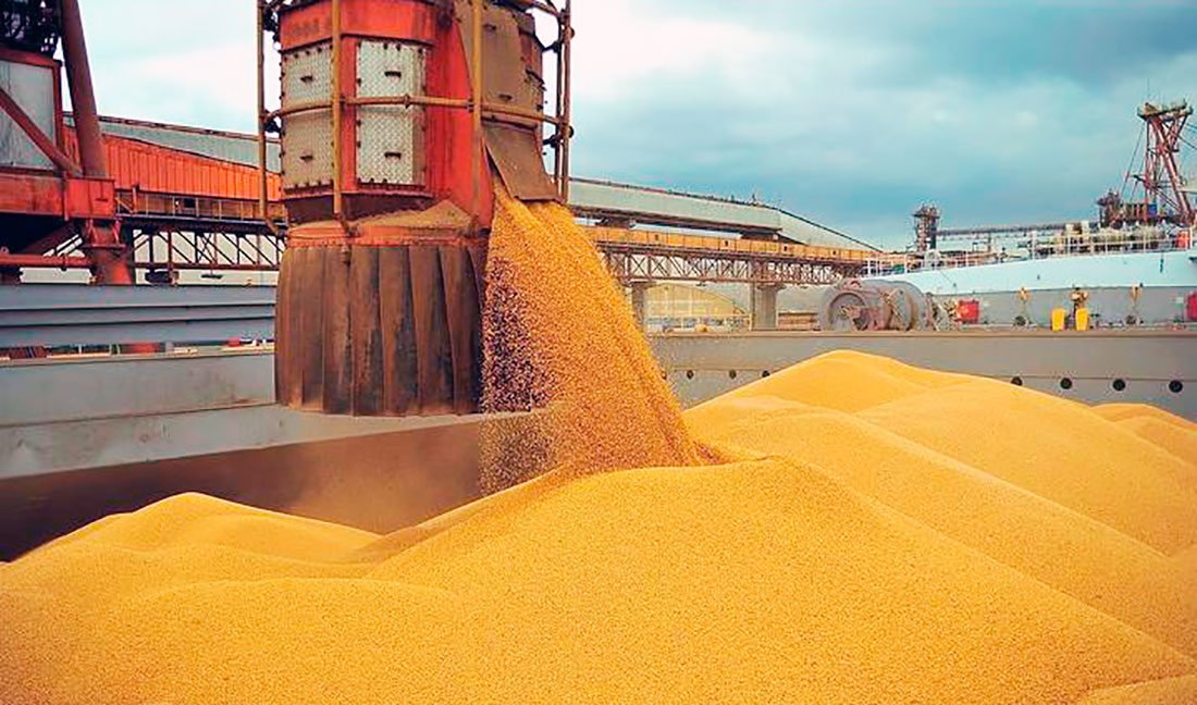 Sinop tem queda nas exportações em setembro e Egito foi principal cliente