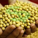 STF derrubou cobrança do Funrural, mas restituição enfrenta obstáculos, diz avogada