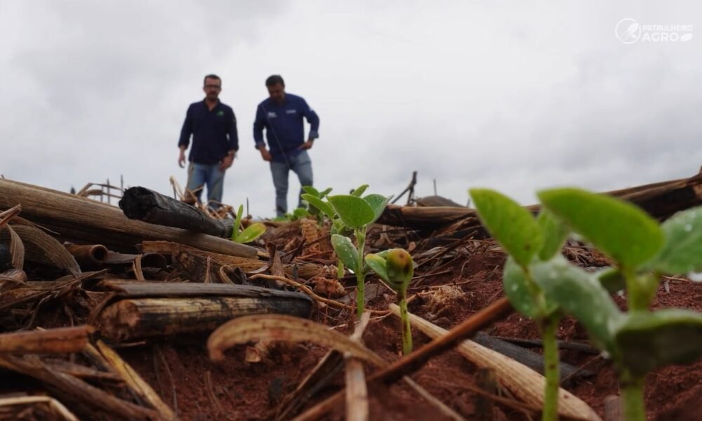 Chuva irregular escalona início do plantio da soja em Gaúcha do Norte