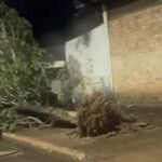 Temporal destelha casas, derruba árvores e causa outros estragos em município no Nortão