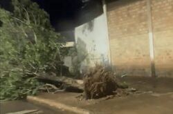 Temporal destelha casas, derruba árvores e causa outros estragos em município no Nortão