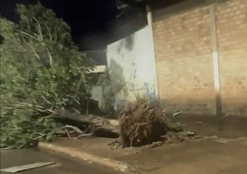 Temporal destelha casas, derruba árvores e causa outros estragos em município no Nortão