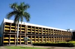 UFMT lança centro de estudos e faz simpósio para debater cannabis medicinal